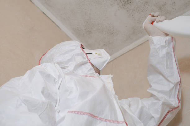 Best Commercial Mold Removal  in Stokesdale, NC